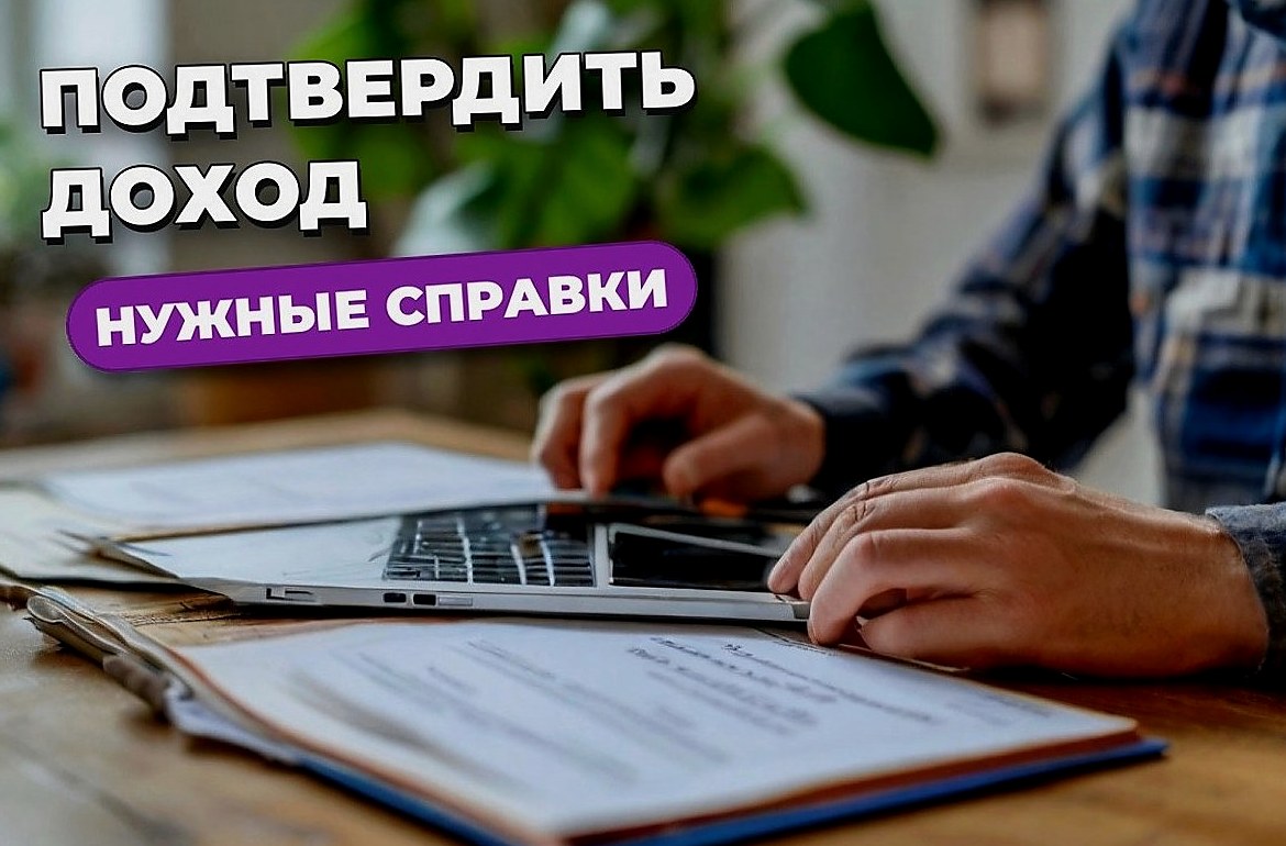 Как подтвердить доход самозанятому для аренды и визы